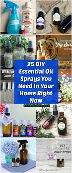 We did not find results for: 25 Diy Essential Oil Sprays You Need In Your Home Right Now Diy Crafts