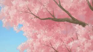 Download 3840x2160 sakura blossom anime landscape japanese clothes wallpapers for uhd tv. Cherry Blossom Tree Gif Explore Tumblr Posts And Blogs Tumgir