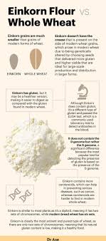 The Superior Ancient Grain Compared To Whole Wheat Einkorn Flour Einkorn Einkorn Bread