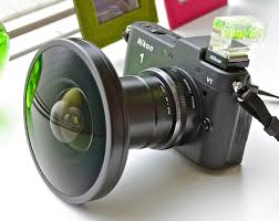 Image result for fisheye