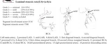 They often run parallel to one another and are variable in number (often 2 to 9). Serial Coronary Computed Tomography Angiography Verified Coronary Plaque Progression Comparison Of Stented Patients With Or Without Diabetes Cardiovascular Diabetology Full Text