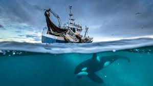 Scientists Warn Earth's Oceans Are Running Out of Oxygen, Threatening Planetary Stability A new scientific review has warned that the rapid loss of oxygen in the world's oceans, rivers, lakes, and other