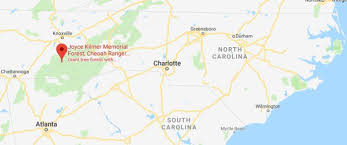 Hike Past 400 Year Old Trees At Joyce Kilmer Memorial Forest In North Carolina North Carolina Resorts Nc Mountains Ancient Forest