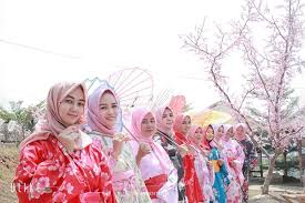 Sebut saja taman sakura surabaya. Bukit Sakura Kemiling Lampung Rasa Jepang Lampung Eksis