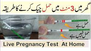 Pregnancy test with sugar in urdu. How To Do Pregnancy Test At Home In Urdu Pregnancy Test With Strip Urine Pregnancy Test Youtube