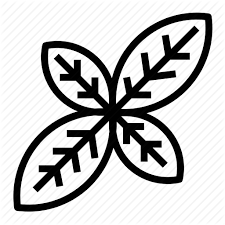 Check olive tree for root issues. Symbol Leaf Font Plant Line Art Black And White Graphics 118002 Free Icon Library