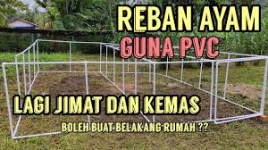 Check spelling or type a new query. Reban Ayam Pvc Mudah Dan Murah Part 1 Youtube