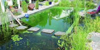 To build an inground pool, a lot of prep and organization is required along with the intense work done. Diy Pool How To Build A Natural Swimming Pool