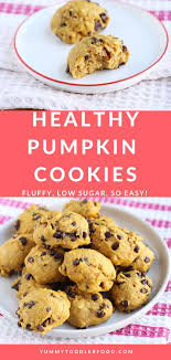 Favorite Chocolate Chip Pumpkin Cookies Light Fluffy And So Good Recipe Pumpkin Cookies Healthy Soft Pumpkin Cookies Healthy Chocolate Chip Cookies