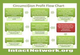 circumcision profit flow chart circumcised baby