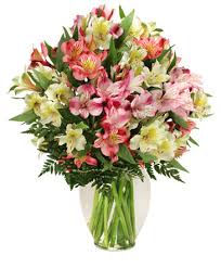 1800flowers.com has been visited by 100k+ users in the past month Bentonville Florist Bentonville Ar Flower Shop Matkins Flowers Greenhouse