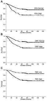 For example, an enlarged prostate gland can elevate the psa, but this does not definitely mean a man has cancer of the prostate. Prognostic Impact Of A Novel Tumor Marker And Inflammation Index For Patients With Non Small Cell Lung Cancer Anticancer Research