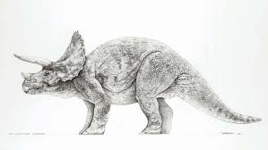 Mark Crash Mccreery Triceratops Artwork From Jurassic Park Dinosaur Pictures Dinosaur Illustration Dinosaur Sketch