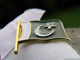 Pakistan Flag Badge Pakistan Flag Pakistan Independence Day Pakistani Flag