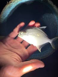 Happy Birthday to my little (not so little) brother! See you Saturday! Benjamin  Purser