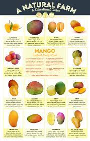 What are tree suckers and watersprouts? Mango Tree Grafted Priority Shipping Included Many Varieties Available Not Certified Organic A Natural Farm