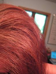 Reddish tones are vibrant and full of color. The Day My Hair Turned Orange Jill Cataldo
