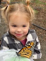 ANNUAL REPORT & UPDATE