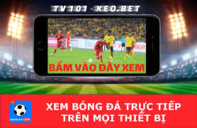 Tại bongdatructuyen net, bạn có thể xem các trận đấu truc tiep bong da miễn phí, nhưng các trận được phát trên trang web rất đa dạng với số lượng lớn. Tv 101 Tivis 101vn Com Bong Ä'a Xem Nhanh Vá»›i Tv101 Keo Bet