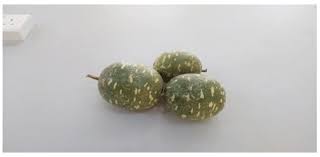 Image result for Lagenaria breviflora