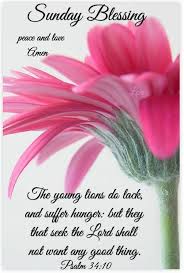 And you have chosen to move forward. Sunday Morning Blessing Quotes Prayer Blessings Good Morning Sunday Quotes Dogtrainingobedienceschool Com