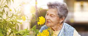 West Sussex County Council Care Guide (Unsuitable for assistive  technologies)