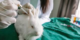 We are the only animal welfare charity prosecuting those who harm animals and in 2015 we secured 1,781 convictions. Go Cruelty Free 5 Skincare Brands That Are 100 Cruelty Free