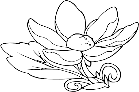 Dibujos Para Colorear Adultos Sencillos