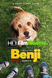 Benji Izle Tam Film Film Banks