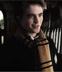 Harry Potter Edit Robert