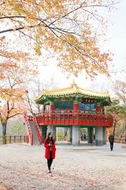 Explore Rural Korea: Cheongyang Alps Village