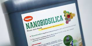 Kultur jaringan bertujuan untuk menghasilkan tanaman yang. Nanoteknologi Dari Limbah Pertanian Hasilkan Plastik Kuat Dan Ramah Lingkungan Badan Litbang