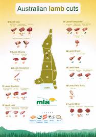 lamb cutting chart tri tip cut chart steak cuts of beef