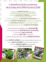 En un completo informe le mostramos en detalle cuáles son los principales beneficios de tener en nuestros hogares u oficina un cactus. Facebook