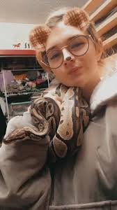 Rough scaled python behavior and care tips needed