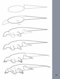How To Draw A Komodo Dragon Komodo Dragon Dragon Drawing Dinosaur Drawing