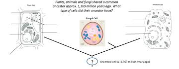 Maybe you would like to learn more about one of these? Cells Teaching Resources The Science Teacher