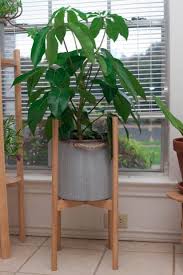 simple wood dowel plant stand : 5 steps