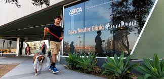 Not so many years ago, pet animals often died of infectious diseases. Spay Neuter Clinic In South Los Angeles Aspca