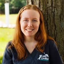 Veterinarian In West Hartford, CT