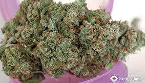1 day gold price per gram in us dollars. How Much Weed To Buy As A First Time Patient