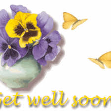 Discover and share the best gifs on tenor. Top 30 Get Well Soon Flowers Gifs Find The Best Gif On Gfycat