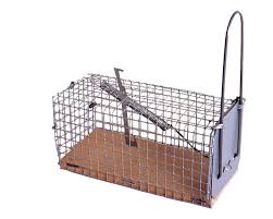 Nasse Antisouris Caussade Leroy Merlin