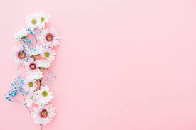 We did not find results for: 23 000 Cute Pink Background Pictures