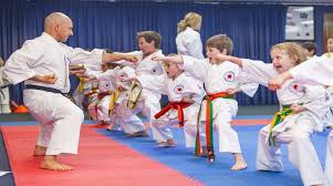 Get High Quality Martial Arts Training Martial Arts Training Martial Arts Kids Karate