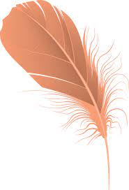 ai文件羽毛纹身白色羽毛素材ai file feather tattoo white feather material feather tattoo white feathers png images