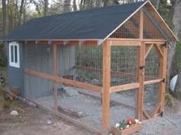 Domain Expired Walk In Chicken Coop Chickens Backyard Chicken Coop Designs