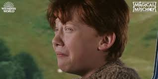 A) hagrid affirmed that harry had been a wizard. Magical Mischief By Harry Potter Giphy