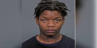 Shaker Heights police arrest 2 non-students for fight in SHHS cafeteria