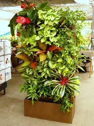 A Vertical Garden Is A Garden That Grows Over Vertically Using A Trellis Or Other Support System Vertical Garden Diy Vertical Garden Systems Vertical Garden